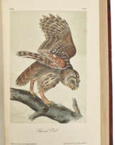 The Birds and The Quadrupeds