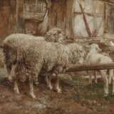 Zwei Schafe mit Lamm - Foto 1