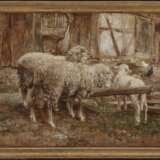 Zwei Schafe mit Lamm - Foto 2