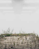 Fabian Knecht. Isolation (Rasenstück)