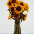 Marc Quinn. Sunflowers - Auction prices