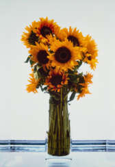 Marc Quinn. Sunflowers