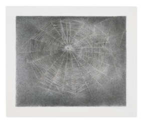 VIJA CELMINS (B. 1939)