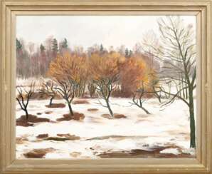 Paysage d&amp;39;hiver 