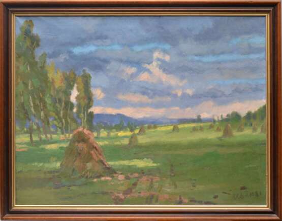 Summer landscape (Old Koknese Valley) Mid-20th century - photo 1