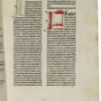 Mammotrectus super Bibliam - Now at the auction