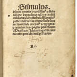 Stimulus divini amoris - photo 2