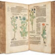 Kreuterbuch, künstliche Conterfeytunge der Bäume, Stauden, Hecken - Now at the auction