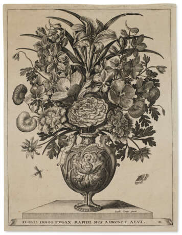 A suite of emblematic florilegium engravings - фото 2