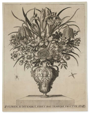 A suite of emblematic florilegium engravings - photo 3