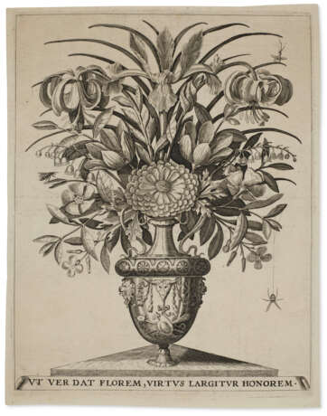 A suite of emblematic florilegium engravings - Foto 5