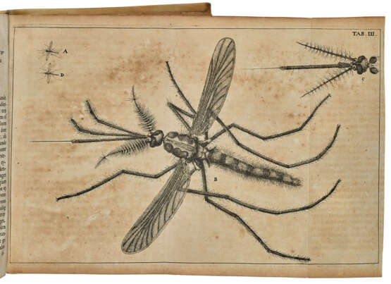 Historia insectorum Generalis - Foto 1