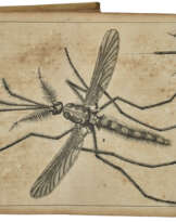 Historia insectorum Generalis