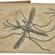 Historia insectorum Generalis - Jetzt bei der Auktion