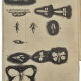Historia insectorum Generalis - фото 2