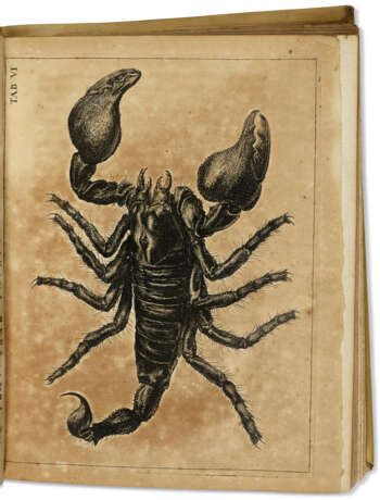 Historia insectorum Generalis - фото 3
