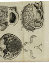 Tractatus de corde. Item De Motu & Colore Sanguinis et Chyli in eum Transitu