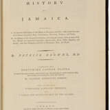 The Civil and Natural History of Jamaica - Foto 1