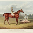 Portraits of the Winning Horses of the Great St. Leger Stakes, at Doncaster - Prix ​​des enchères