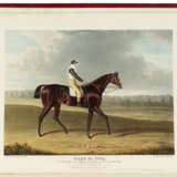 Portraits of the Winning Horses of the Great St. Leger Stakes, at Doncaster - photo 2