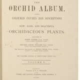 The Orchid Album - photo 2