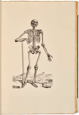 Vesalius's Icones anatomicae - Foto 1