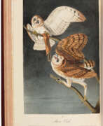 John James Audubon. Birds of America