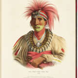 History of the Indian Tribes of North America - photo 3