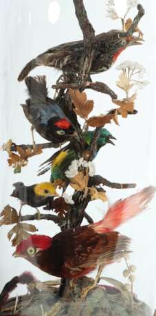 Paar Dioramen mit Vögeln um 1900, runde Holzsockel und farbl… - photo 2