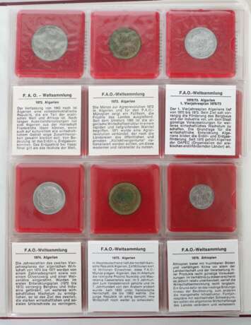 Sammlung F.A.O.-Münzen umfangreiche Münzsammlung der Food an… - фото 2