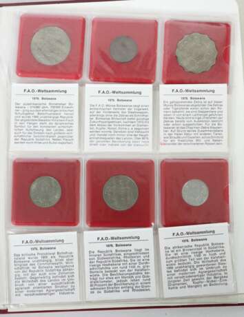 Sammlung F.A.O.-Münzen umfangreiche Münzsammlung der Food an… - photo 3