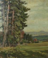 Maler des 20. Jh. ''Landschaft'', Blick auf eine hügelige Wi…