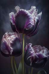 Фиолетовые Тюльпаны