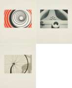 Elaine Sturtevant. Elaine Sturtevant. Duchamp Triptych