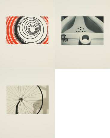 Elaine Sturtevant. Duchamp Triptych - фото 1