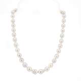 South Sea Pearl-Necklace - photo 1