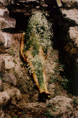 ANA MENDIETA (1948-1985) - photo 7