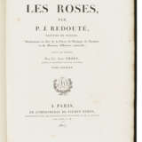 REDOUTE, Pierre-Joseph (1759-1840) and Claude Antoine THORY (1759-1827) - Foto 4