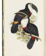 John Gould. GOULD, John (1804-1881)