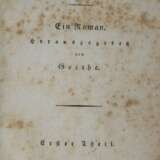 Goethe,J.W.v. - photo 1