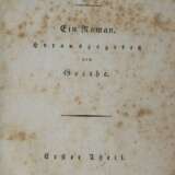 Goethe,J.W.v. - Foto 1