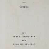 Goethe,J.W.v. - photo 2