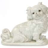 Pekinese - photo 1