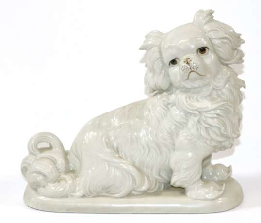 Pekinese - photo 1