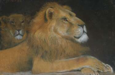 Löwenpaar.