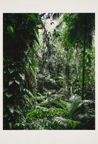 Thomas Struth. Paradies - photo 2