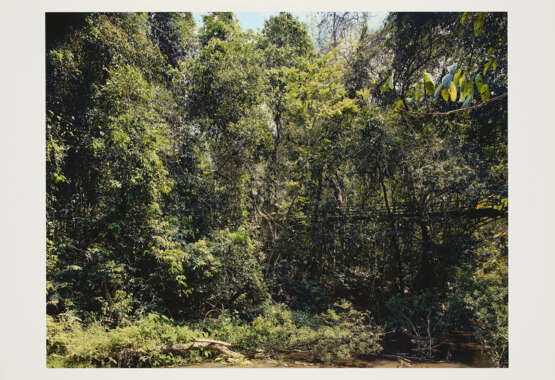 Thomas Struth. Paradies - photo 3