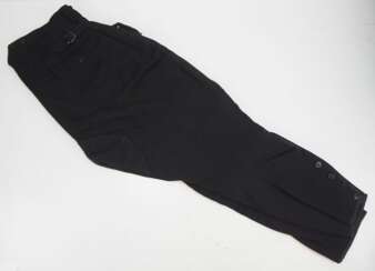 Deutsche Arbeitsfront (DAF): Schwarze Breeches Hose.