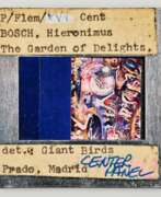 Aperçu. Sebastian Riemer. P/Flem/XVI Cent BOSCH, Hieronimus The Garden of Delights, det.: Giant Birds Prado, Madrid CENTER PANEL CCNY COLL