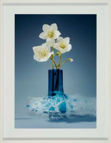 Martin Klimas. Untitled (Helleborus V) - photo 2